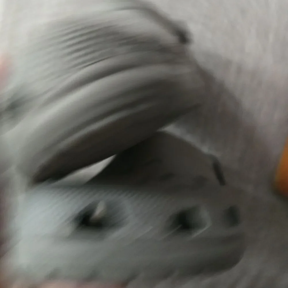 Crocs Gray Color Size Mens 12 / Womens 10- No Sign Of Wear